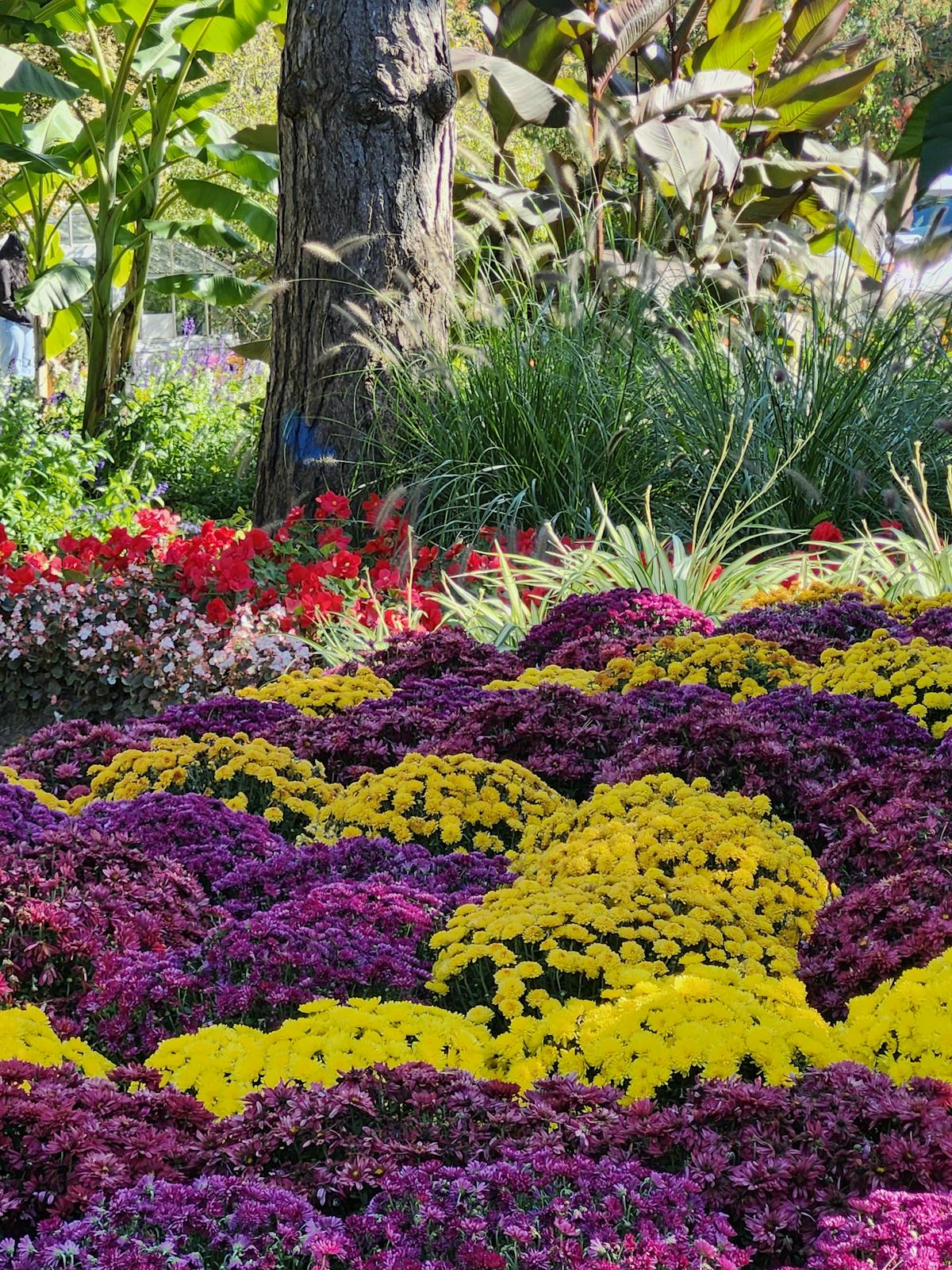 Colorful flower bed with layered plants