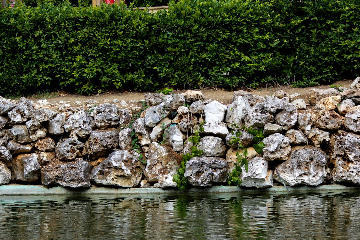 Stone retaining wall with plants and water feature